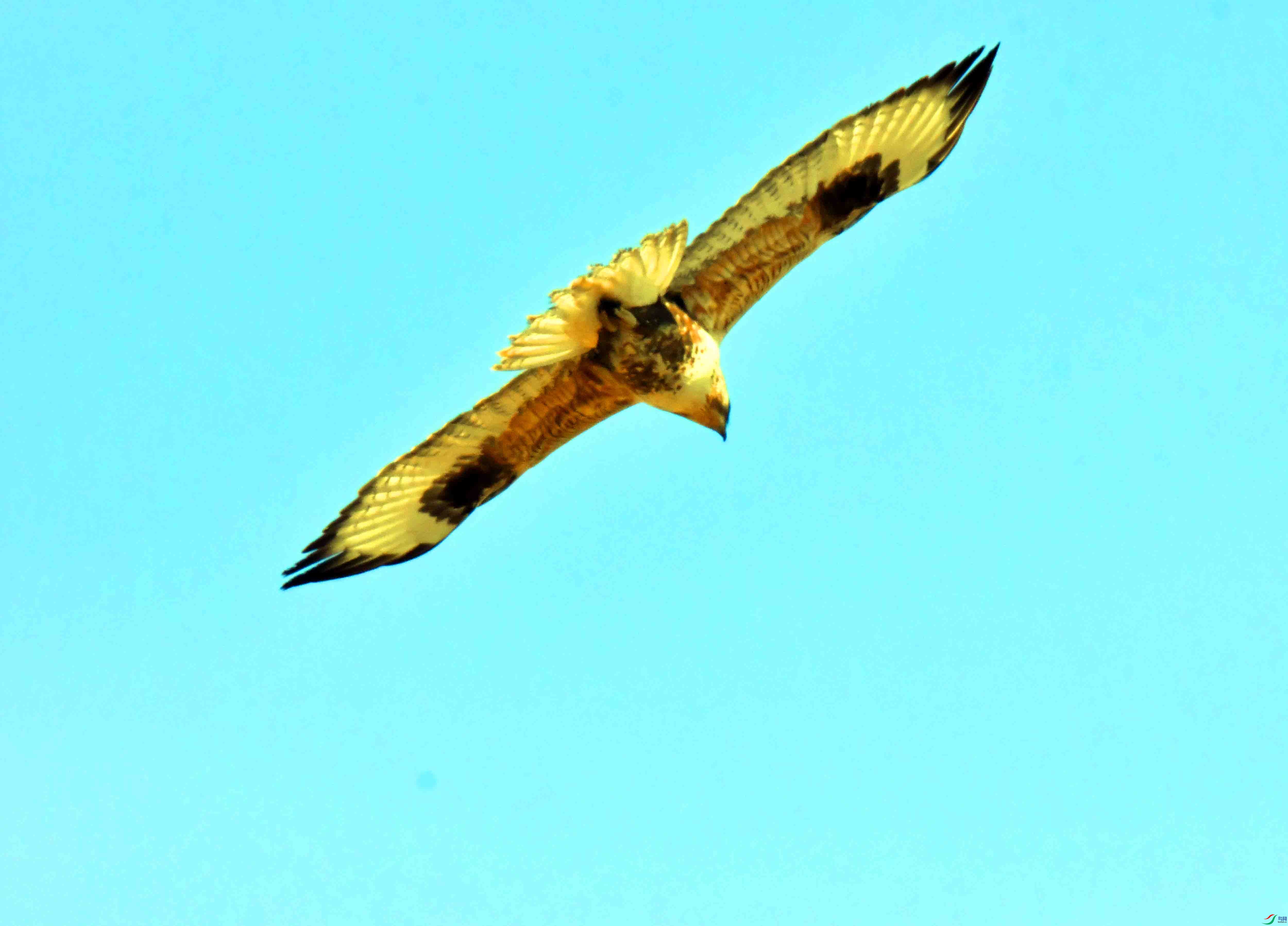 DSC_5219.JPG