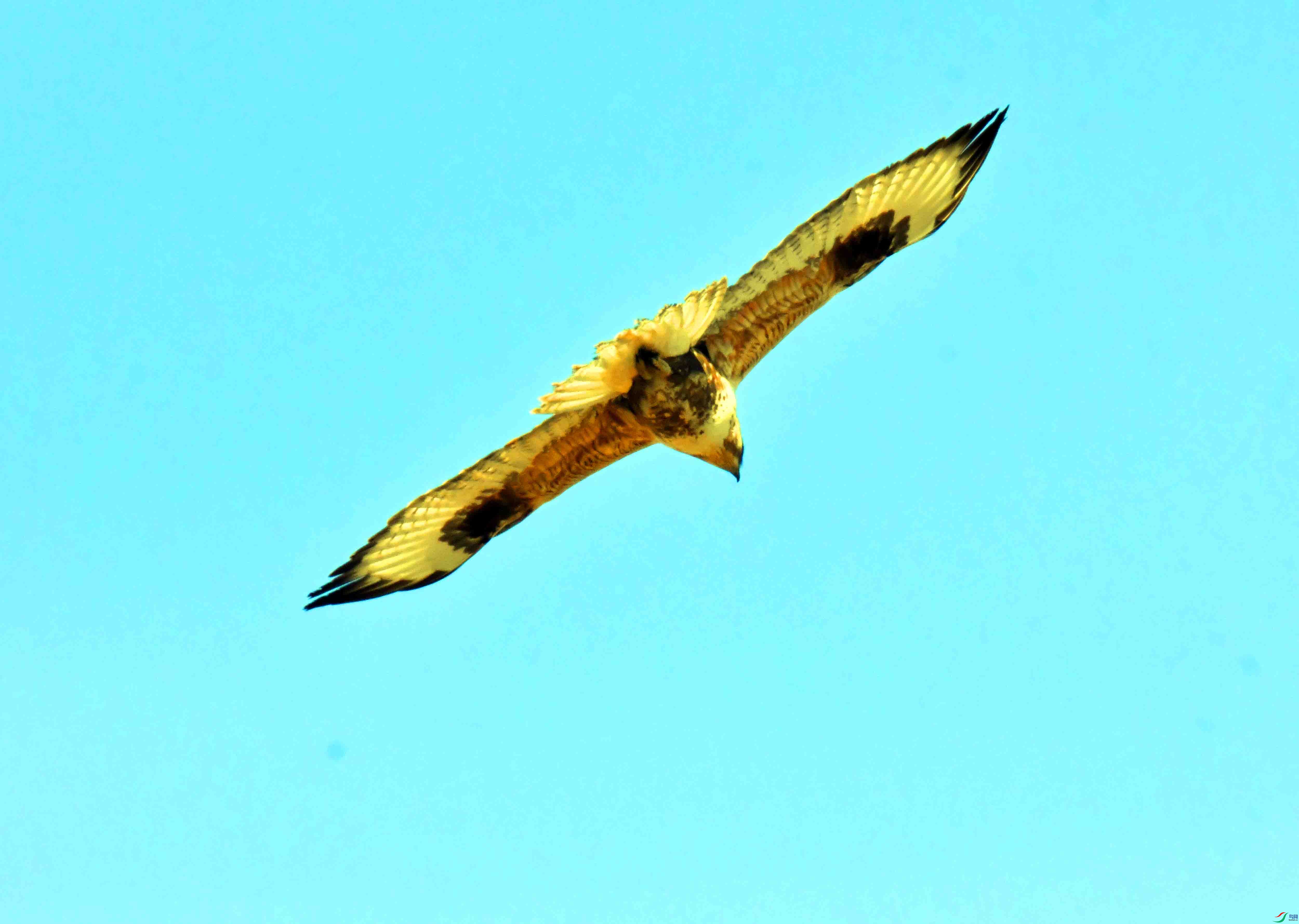DSC_5220.JPG