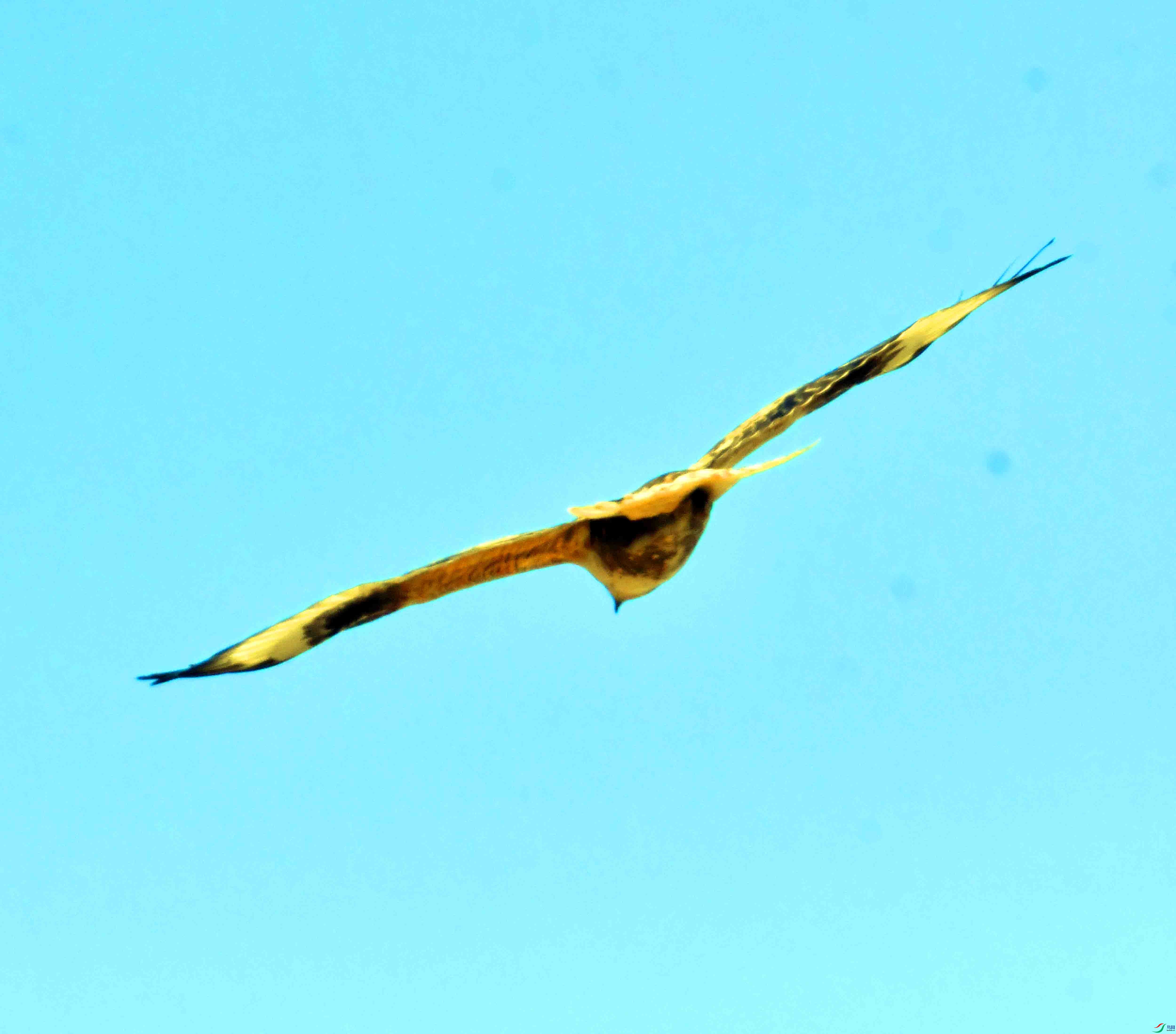 DSC_5222.JPG