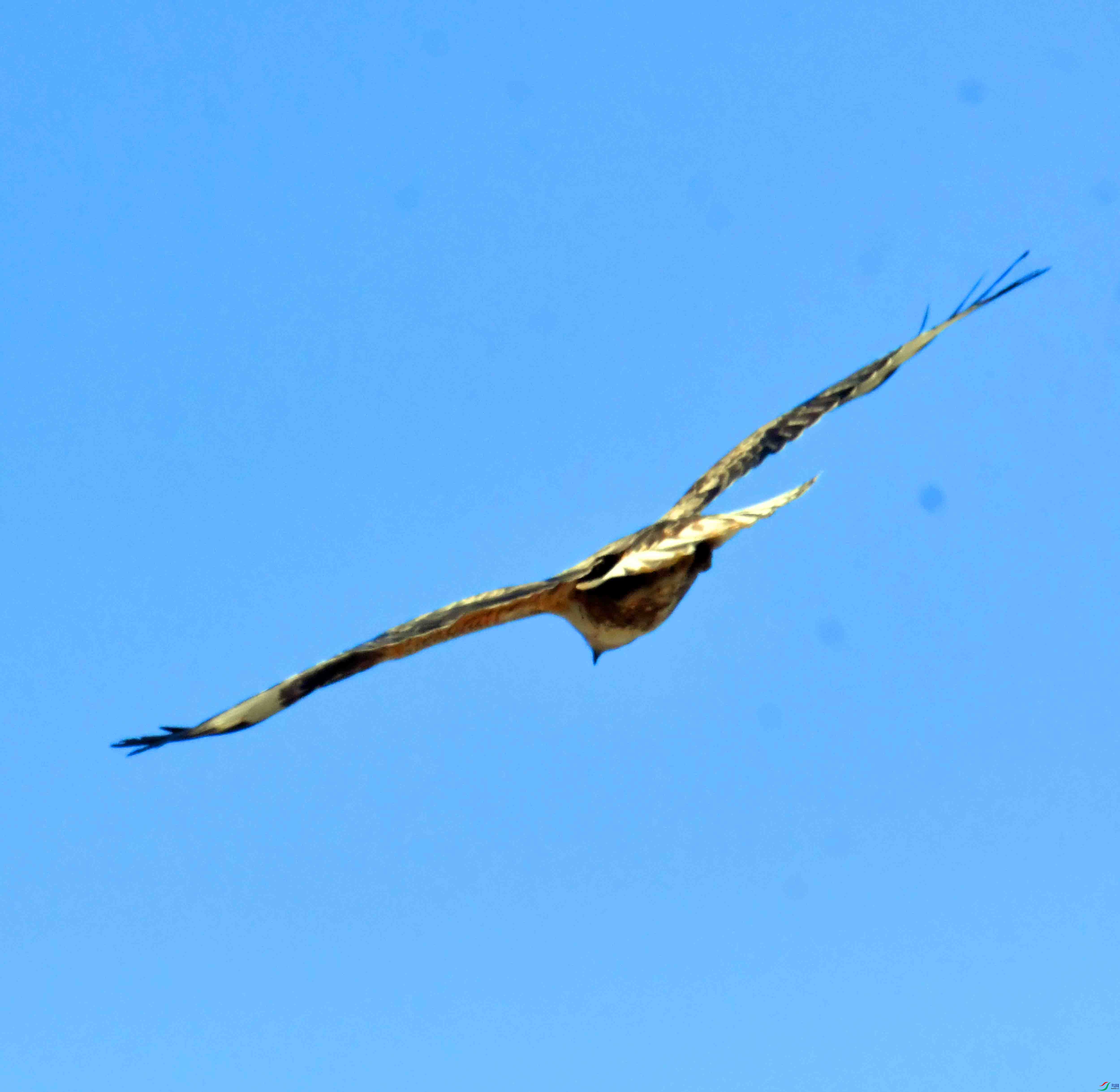 DSC_5223.JPG