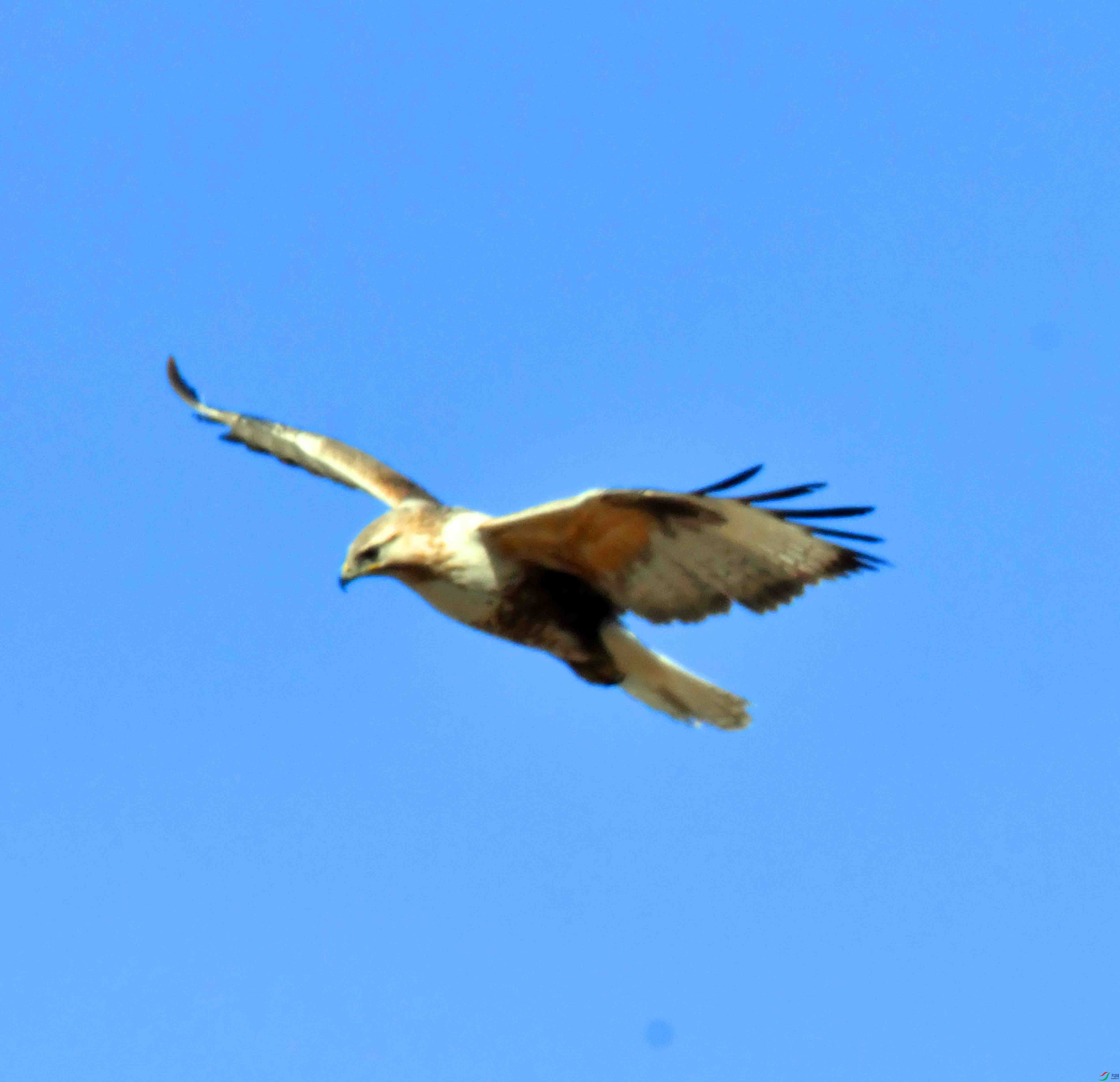 DSC_5228.JPG