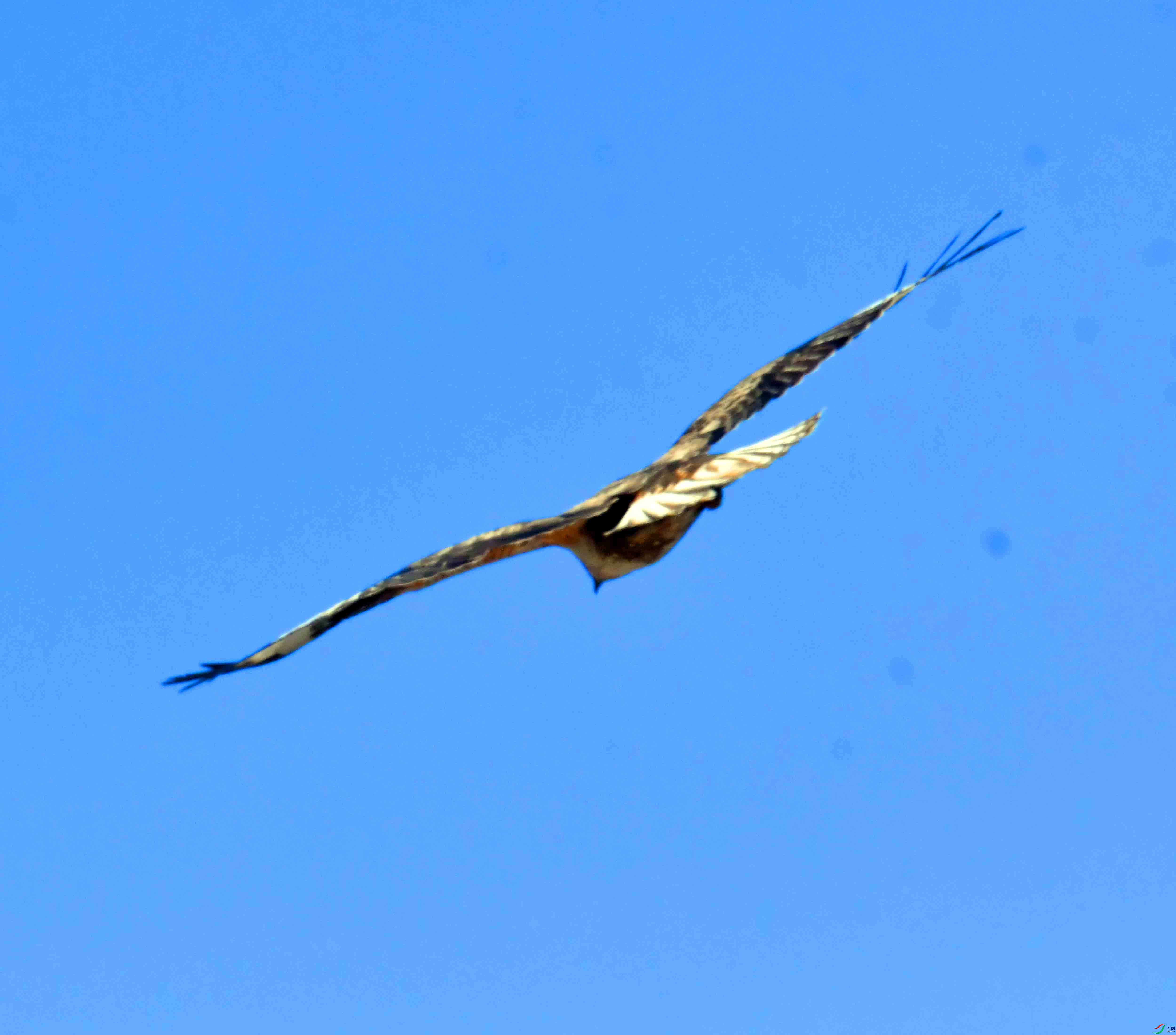 DSC_5224.JPG