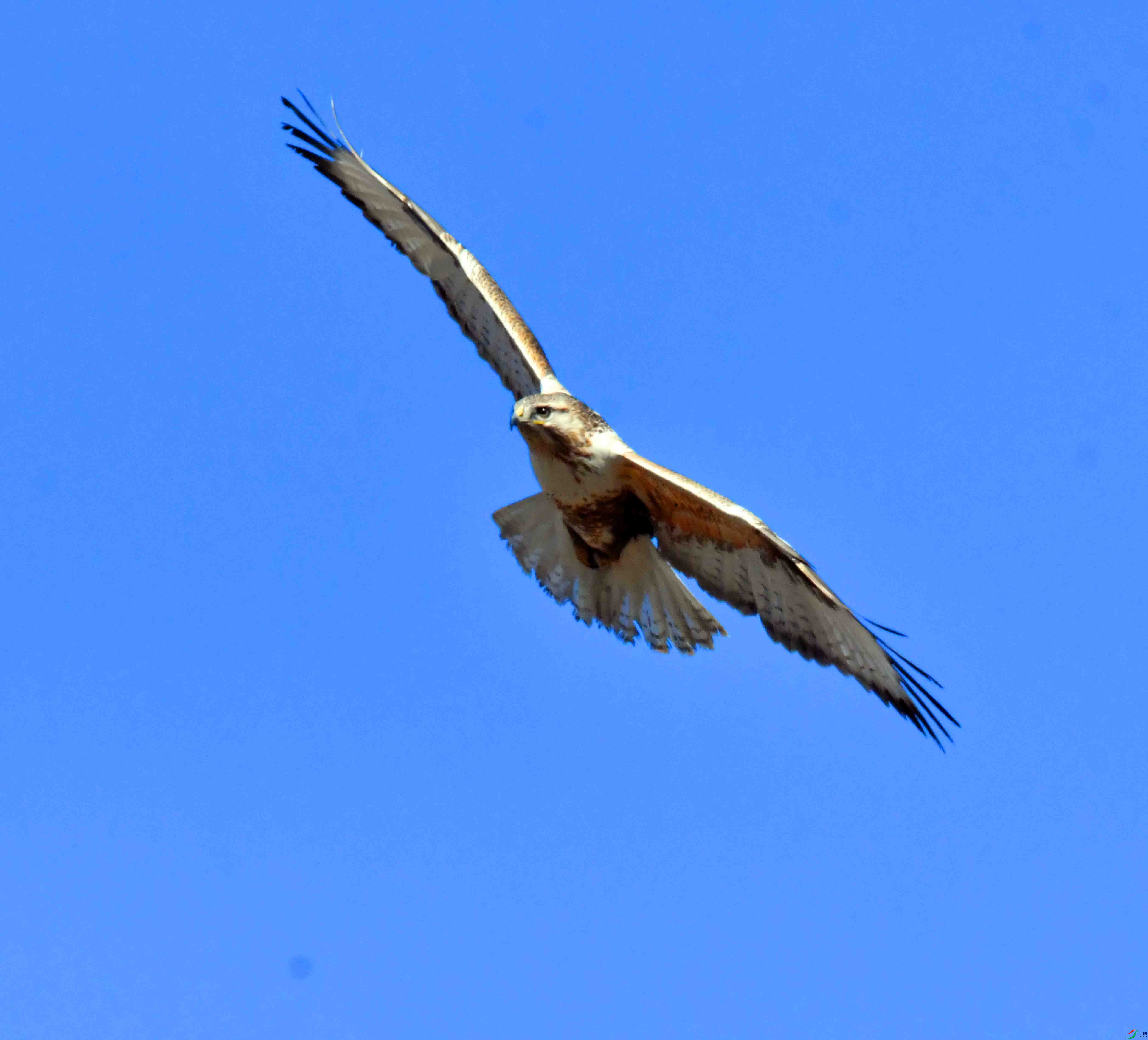 DSC_5230.JPG