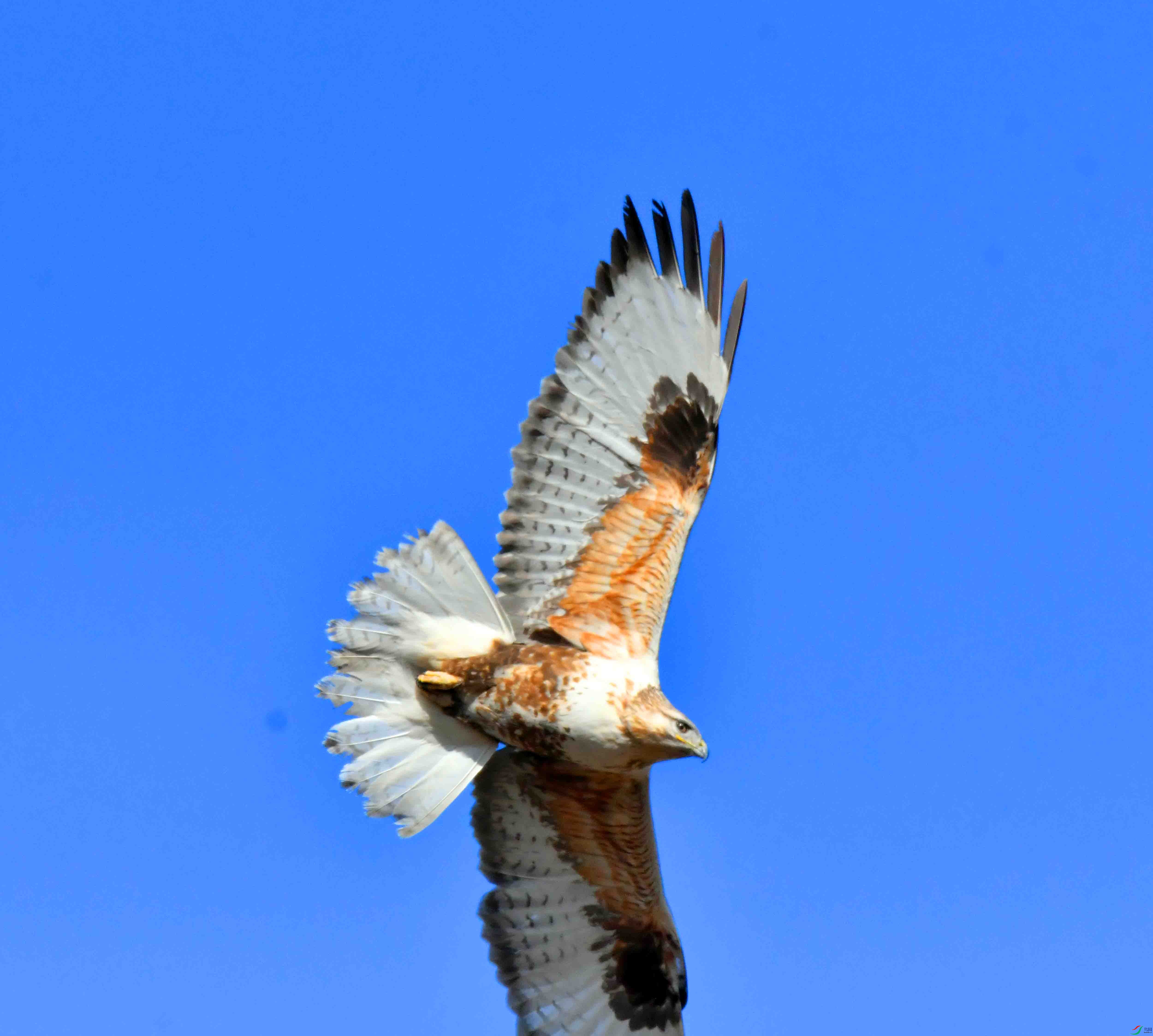 DSC_5233.JPG