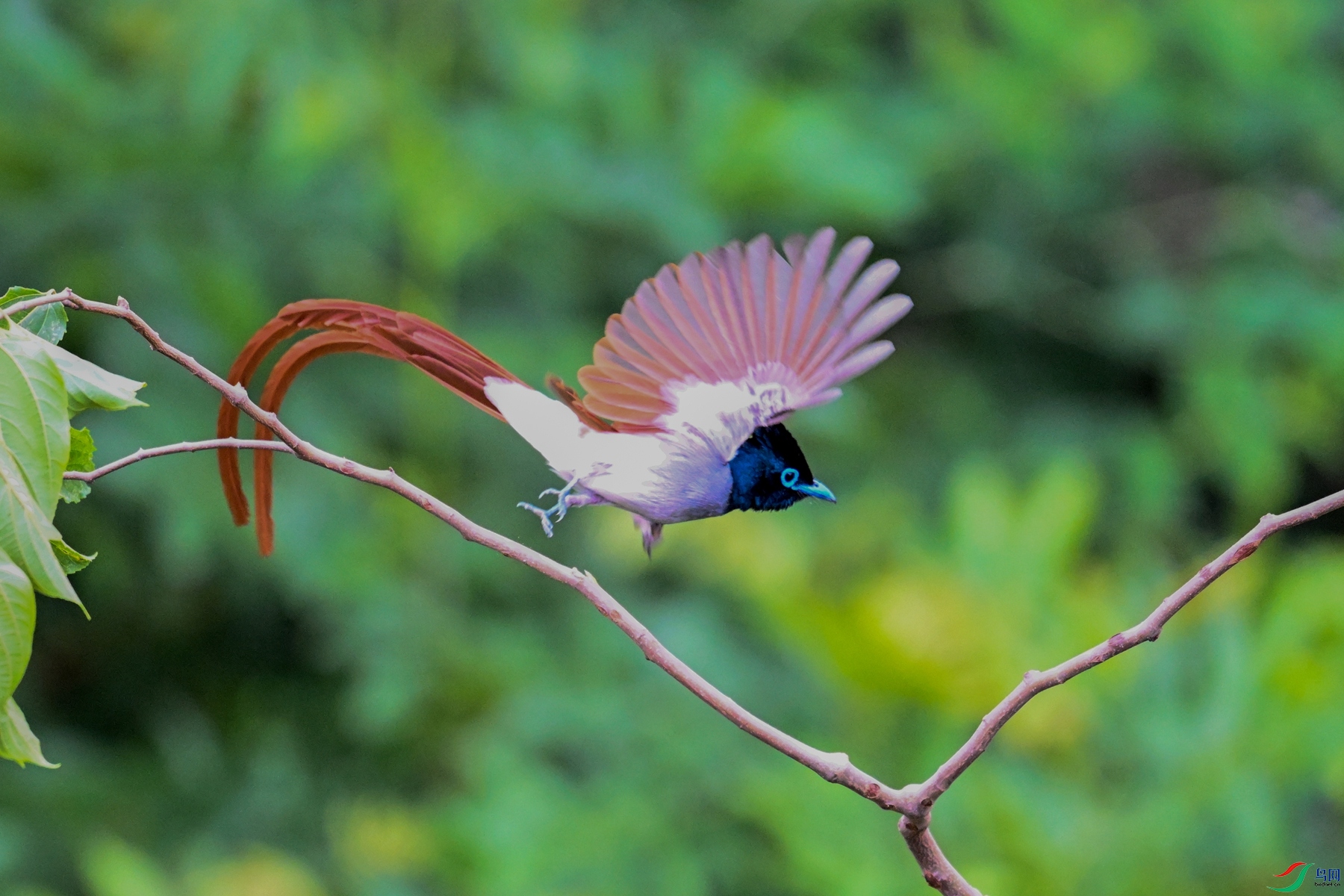 DSC_5900.JPG