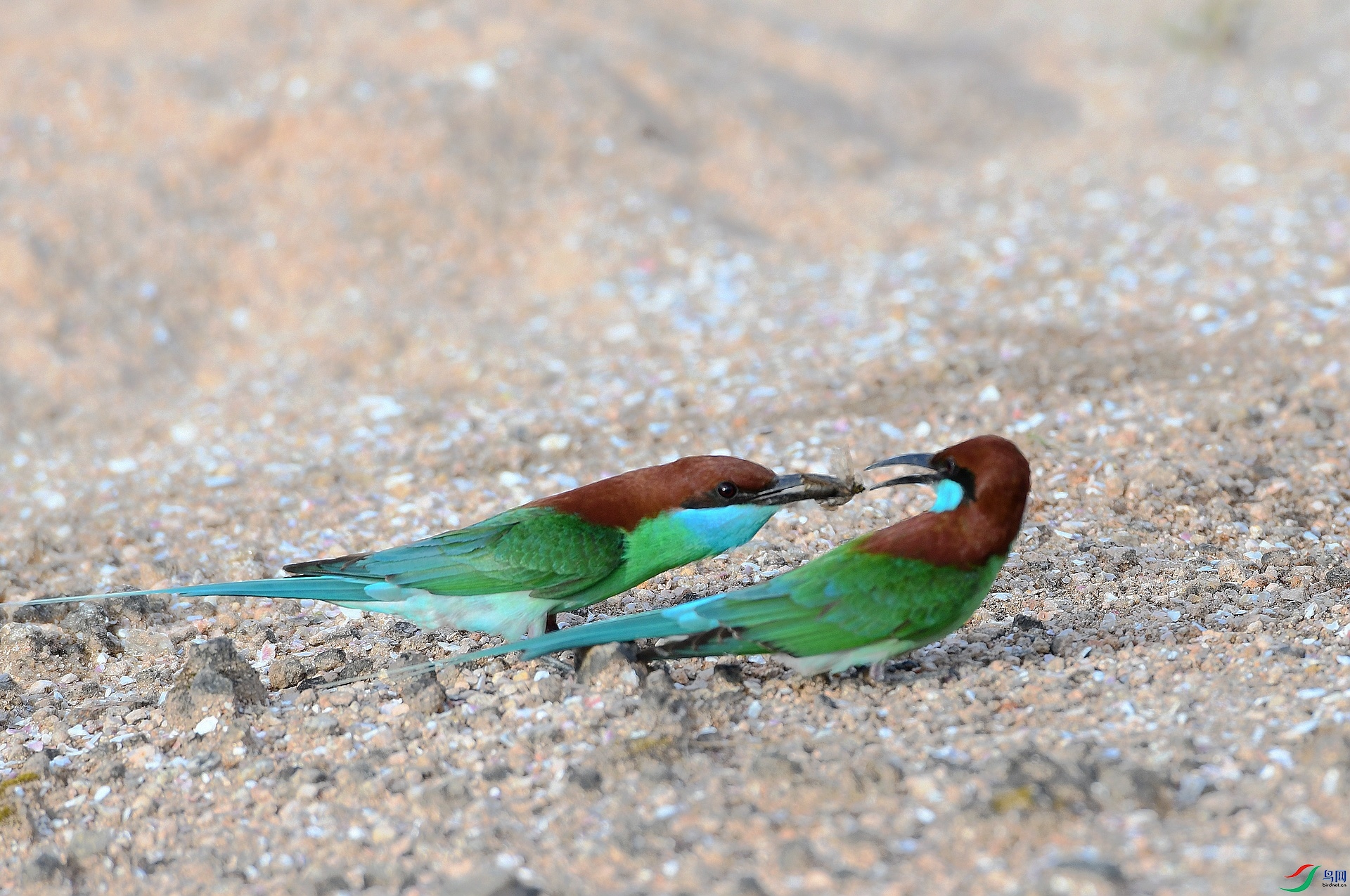 DSC_0192.jpg