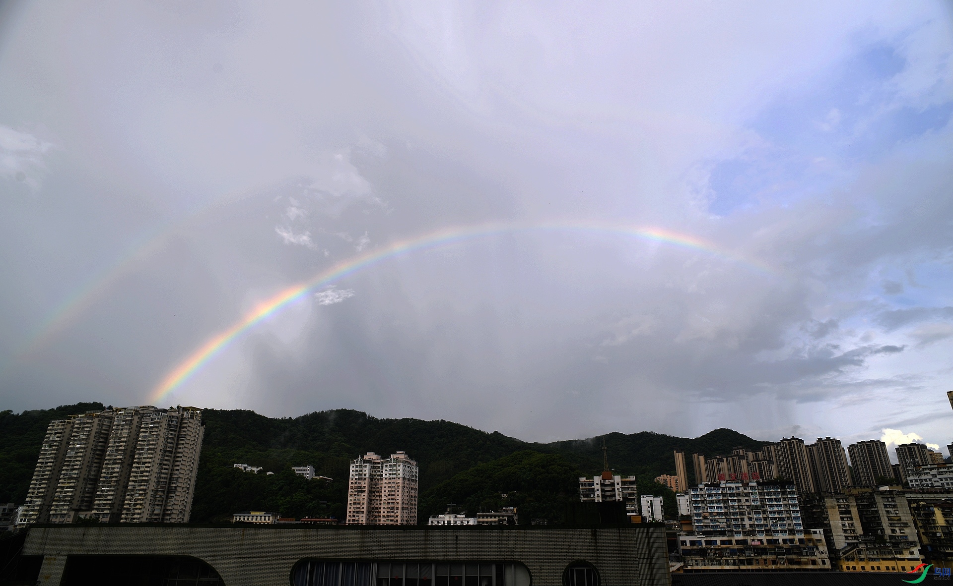 DSC_0446.jpg