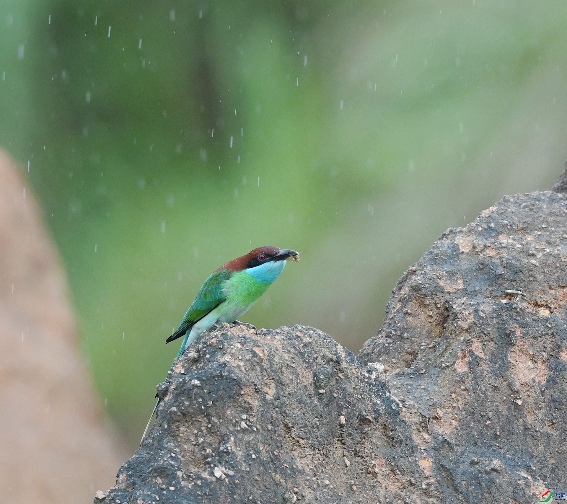 DSC_3806.jpg