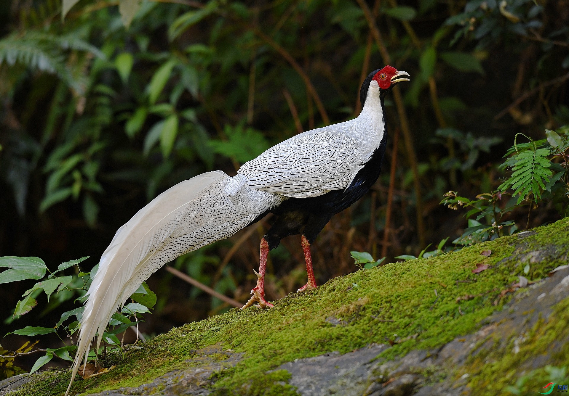 DSC_6031.jpg