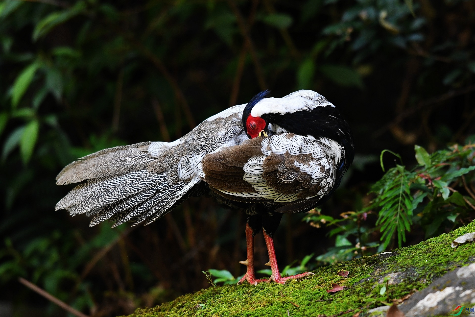 DSC_6783.jpg