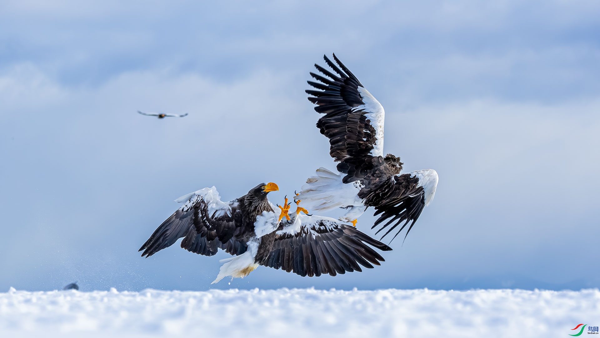 0M8A6890-����ǿ-NR.jpg