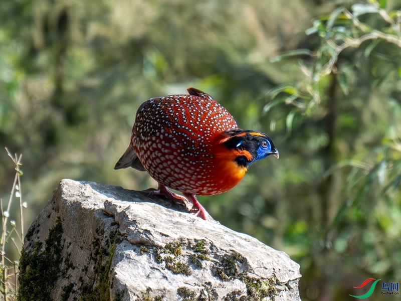 DSC_7298_����.jpg