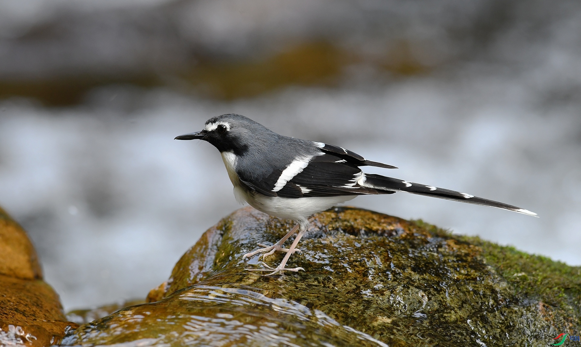 DSC_8471.jpg