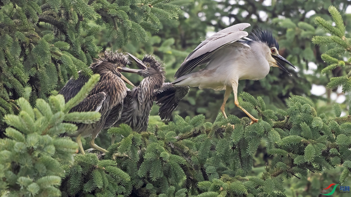 3U2A1554 ���� 2.jpg