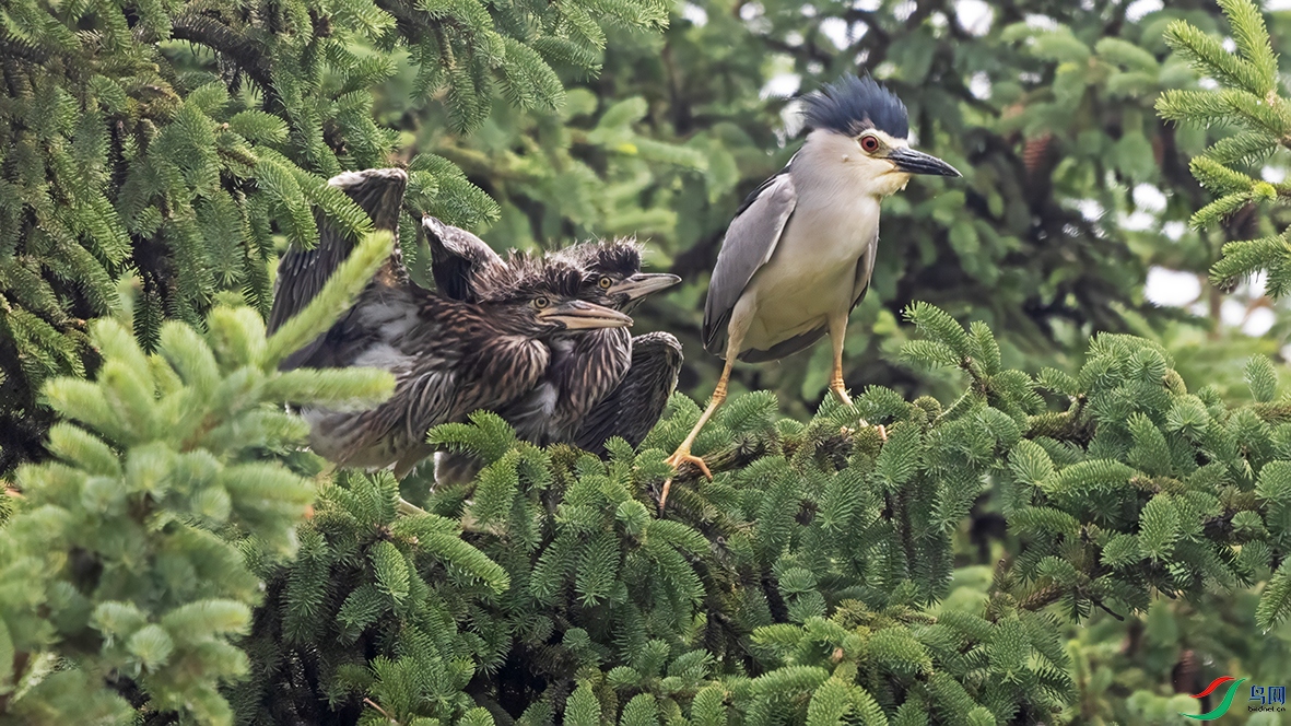 3U2A1539 ���� 2.jpg