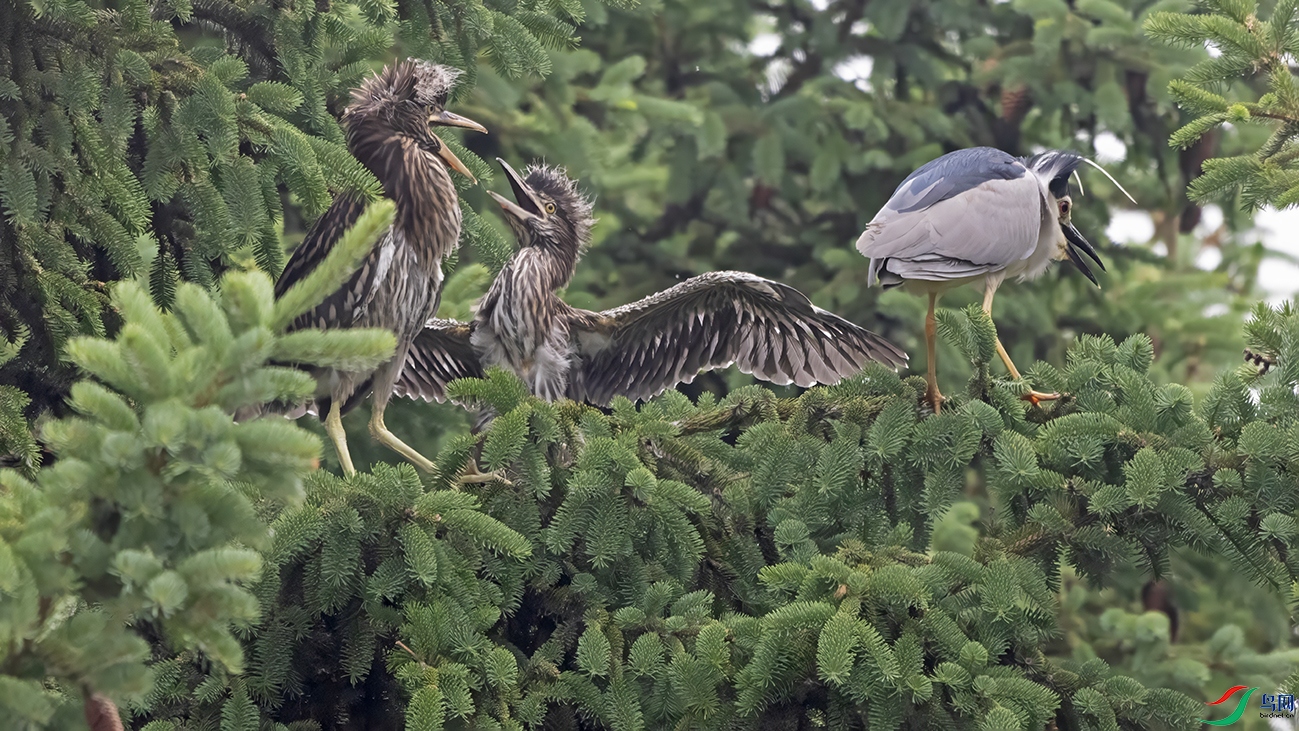 3U2A1641 ���� 2.jpg