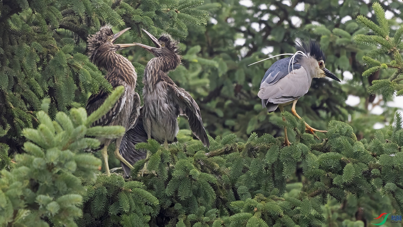 3U2A1598 ���� 2.jpg