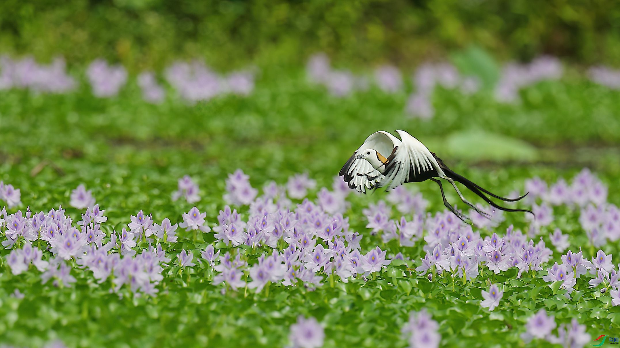 B43I8224-SharpenAI-Motion.jpg