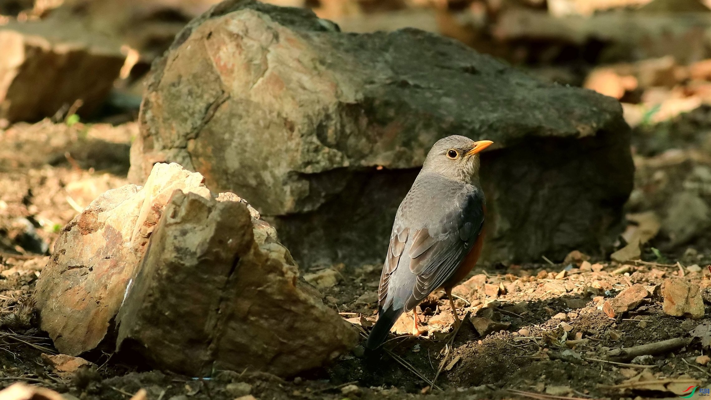 5��15������֮�ұ��