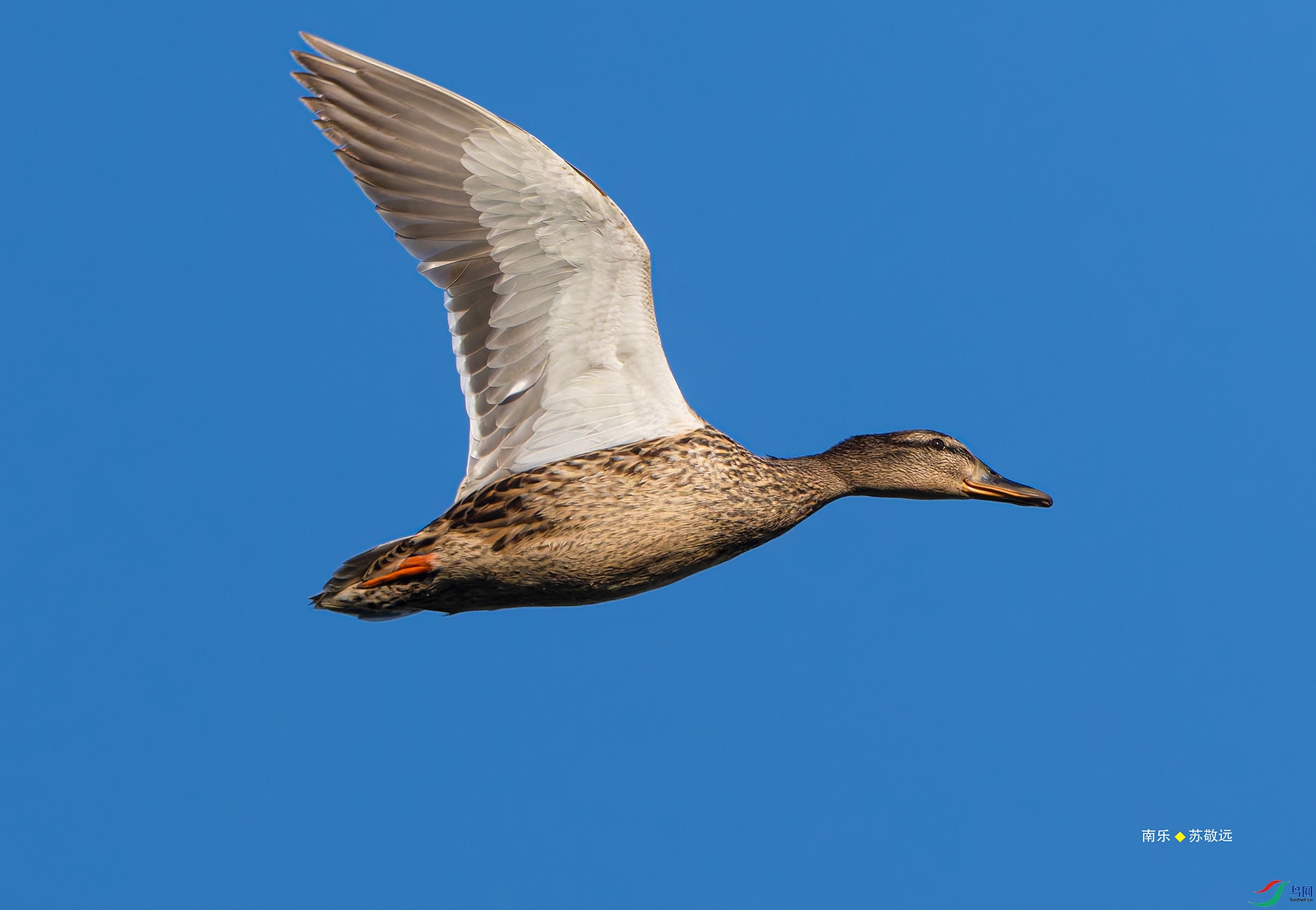 20250428-_DSC0923С.jpg