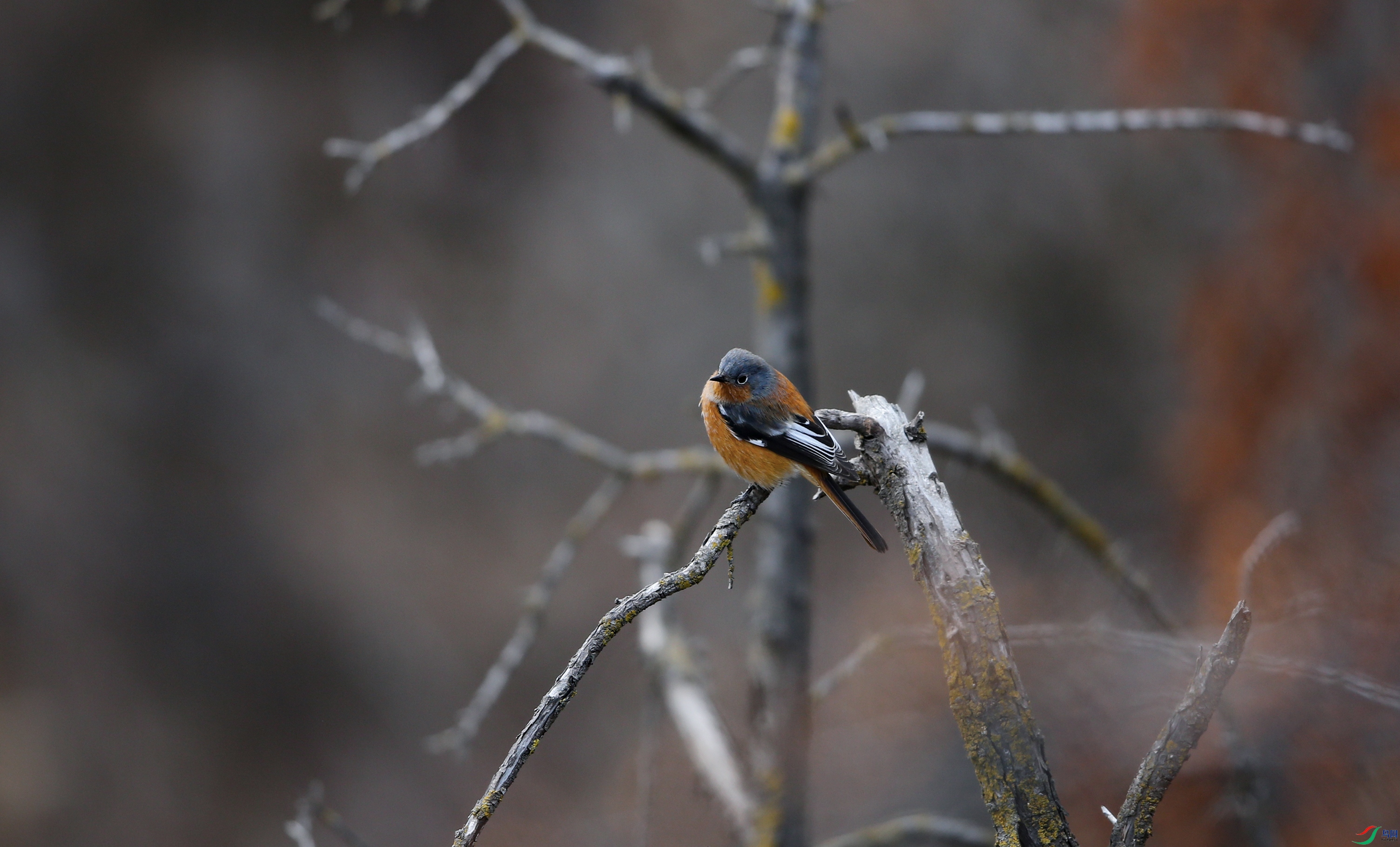 X39A2609 ����333.jpg