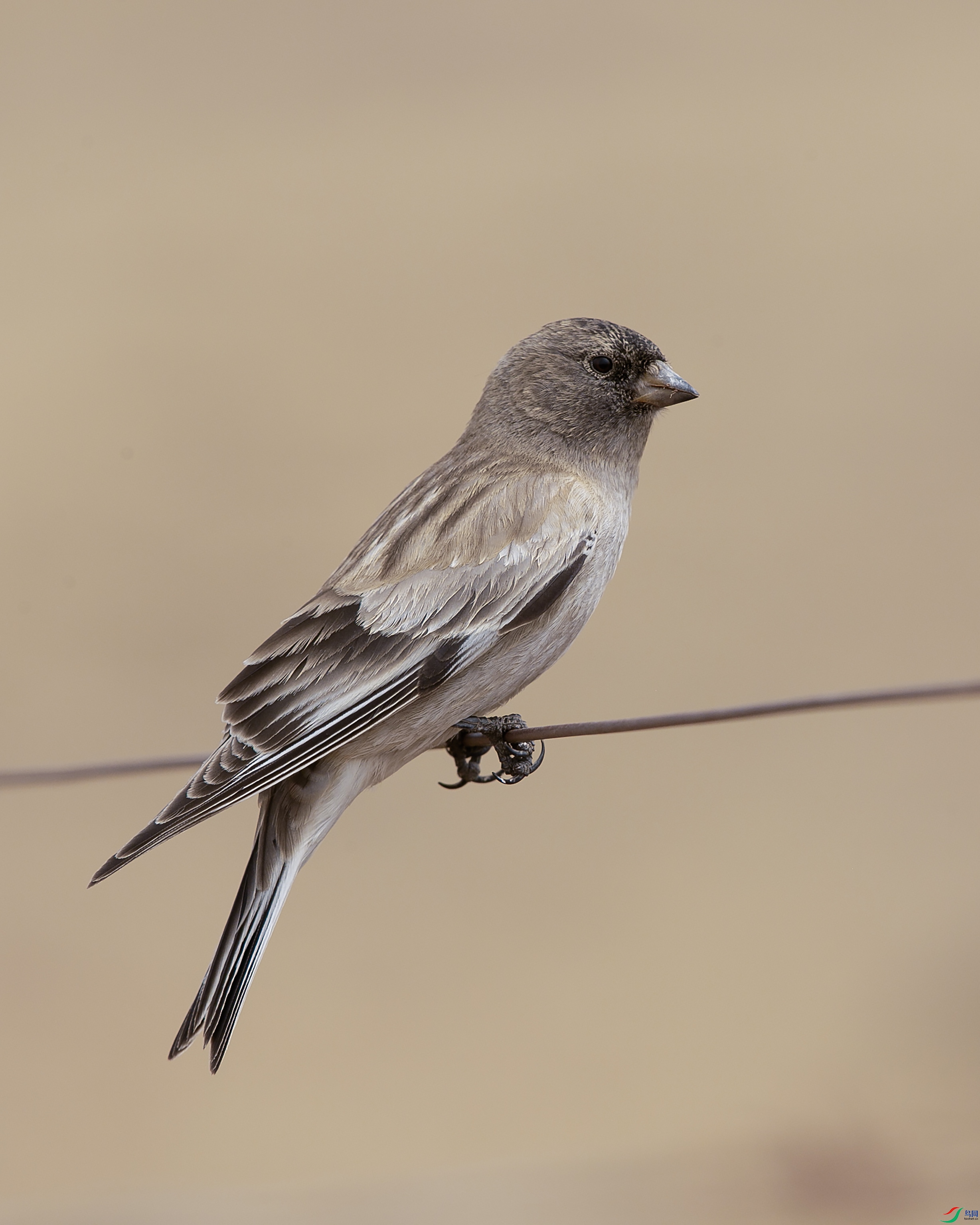 _39A6753 ����44444.jpg