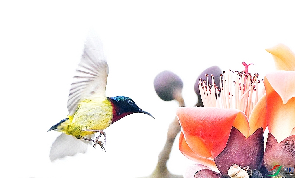 DSC_5998.JPG