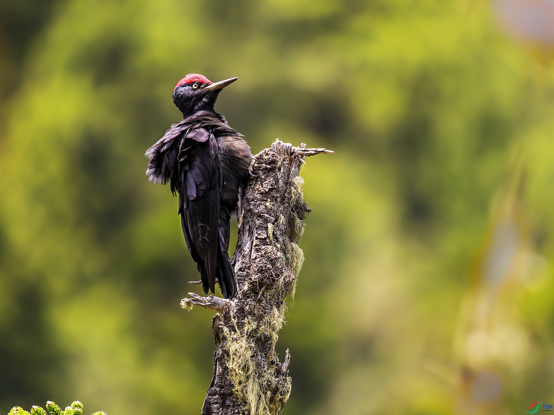 _0002046B ����.jpg