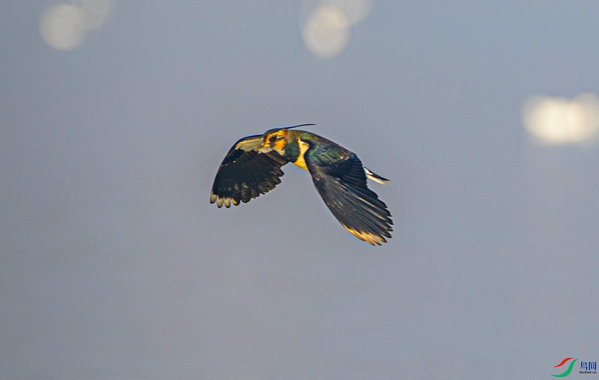0G6A8170.jpg