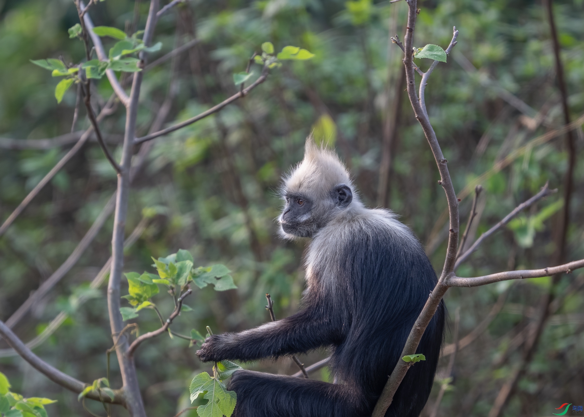 DSC_7079.jpg