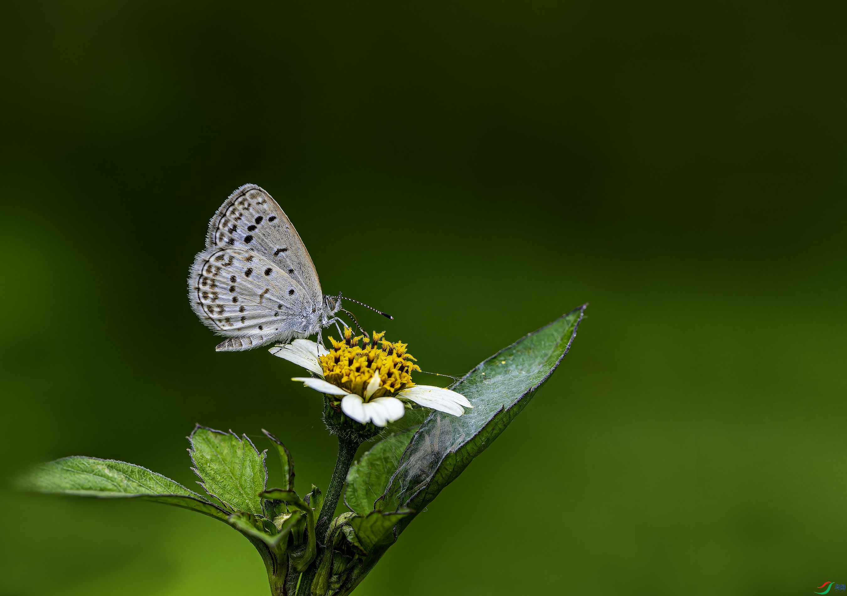 �����ҵ� (32)-02.jpg