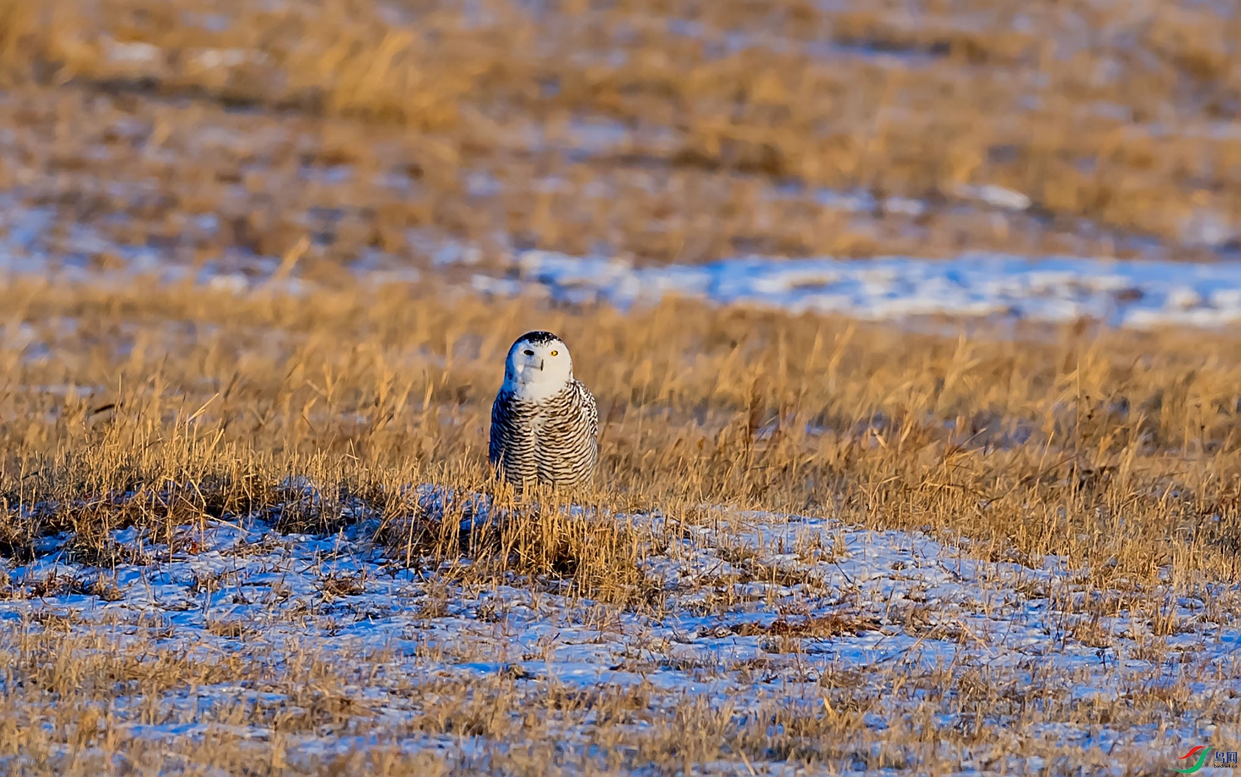 DSC_9056_����.jpg