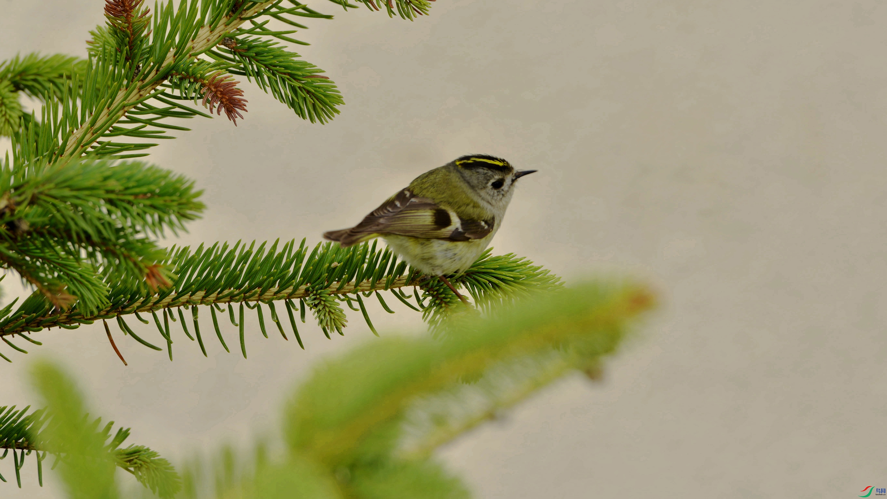 DSC_9949_���� ����.jpg