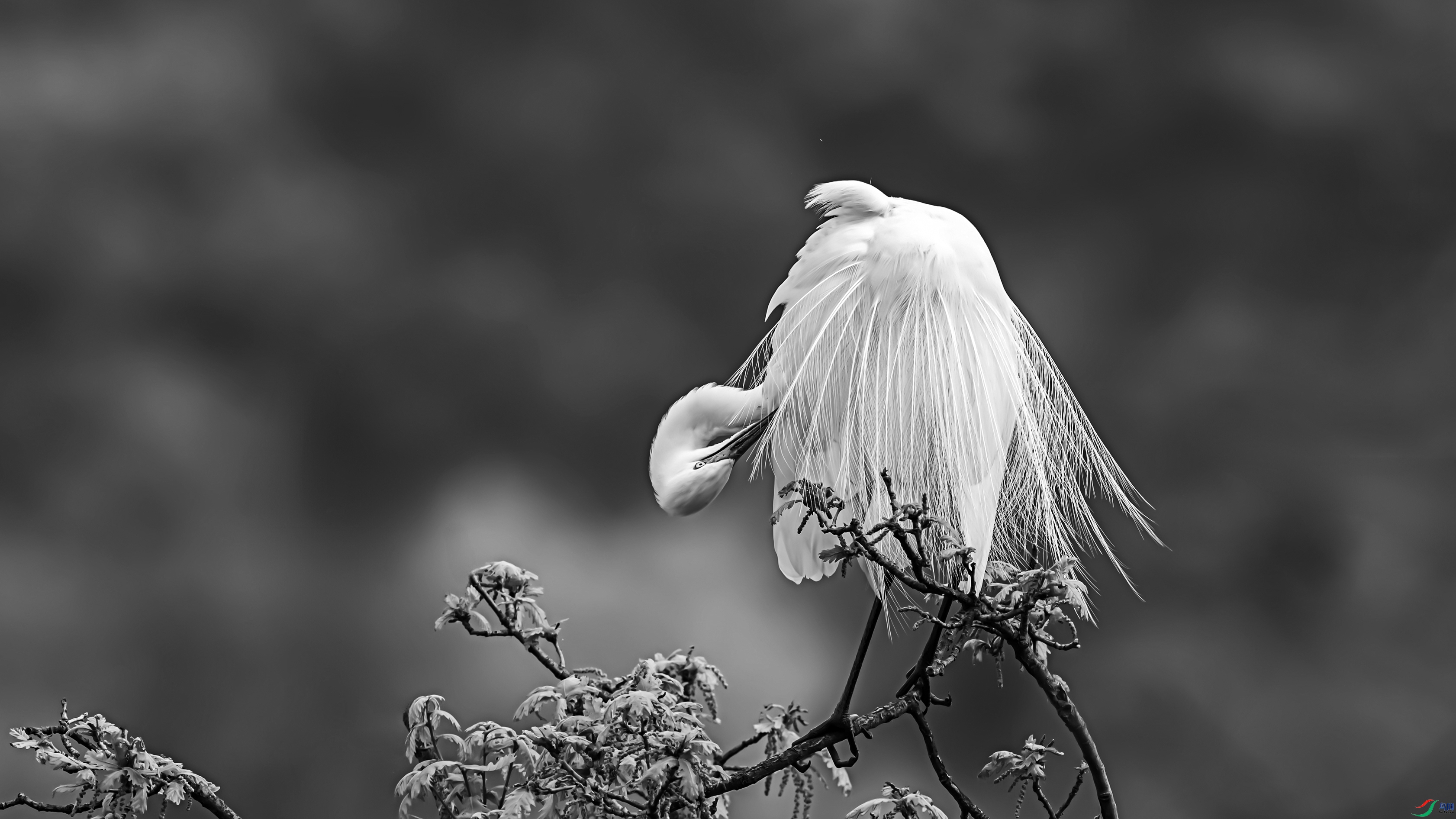 1-0318-1 ����.jpg