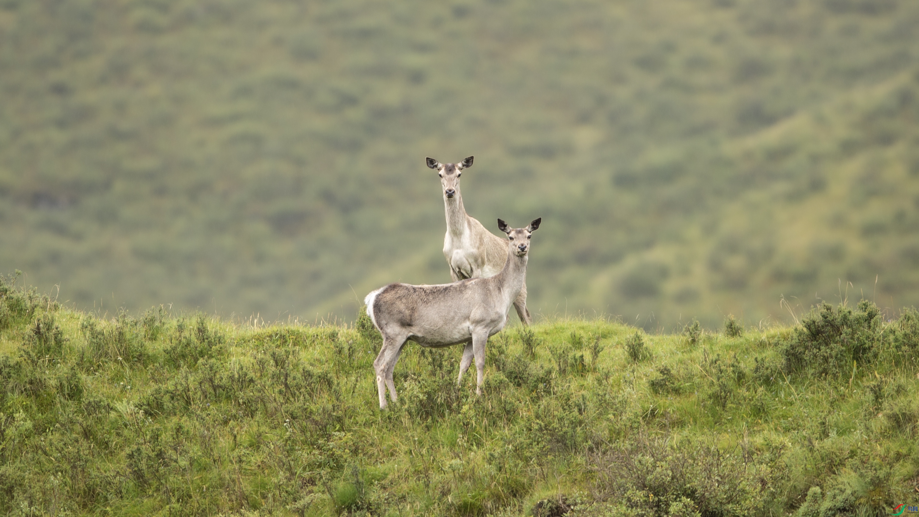 _39A5920 ����.jpg