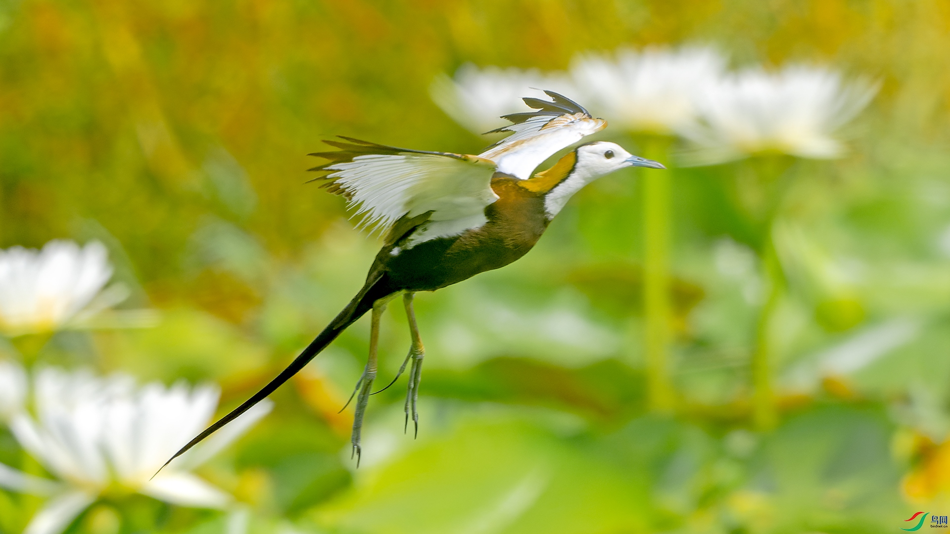 24.07��ˮLPY_3554.jpg
