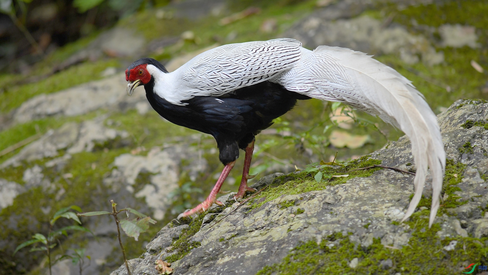 DSC_6253.jpg