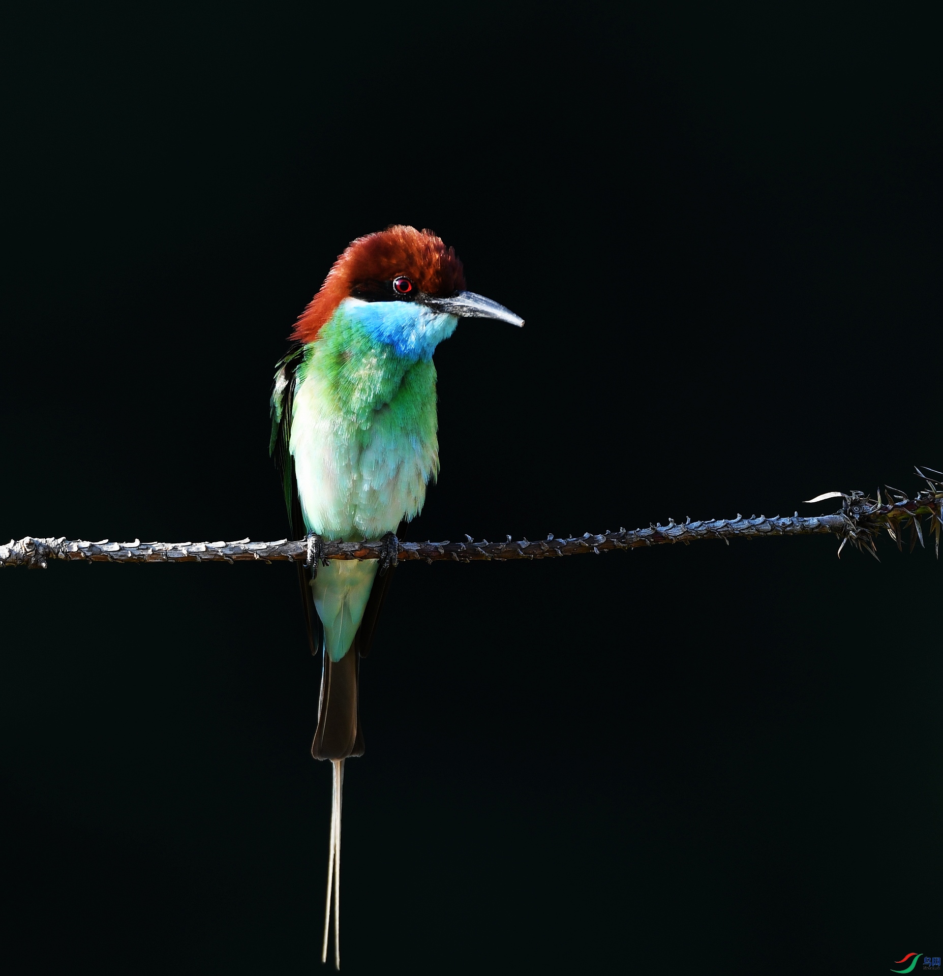 DSC_6281.jpg