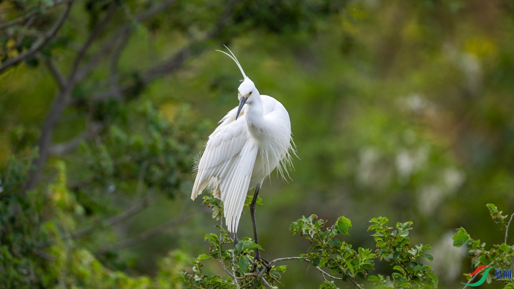 DSC_3785.jpg