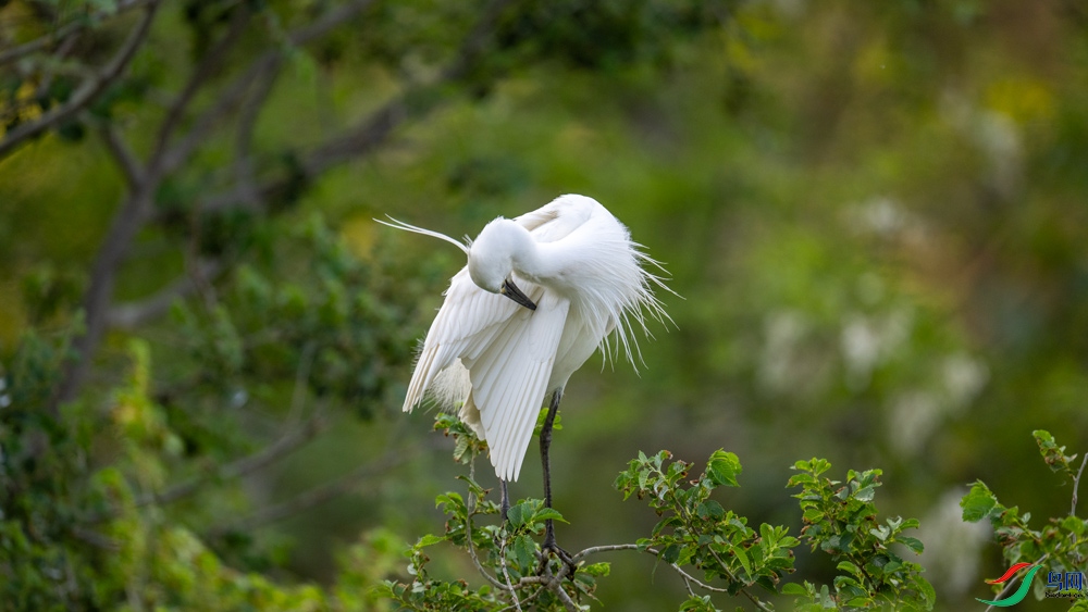 DSC_3783.jpg