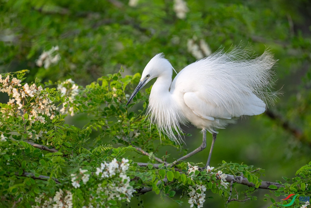 DSC_3406.jpg