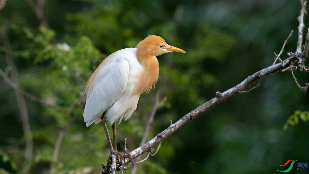 DSC_1345.jpg