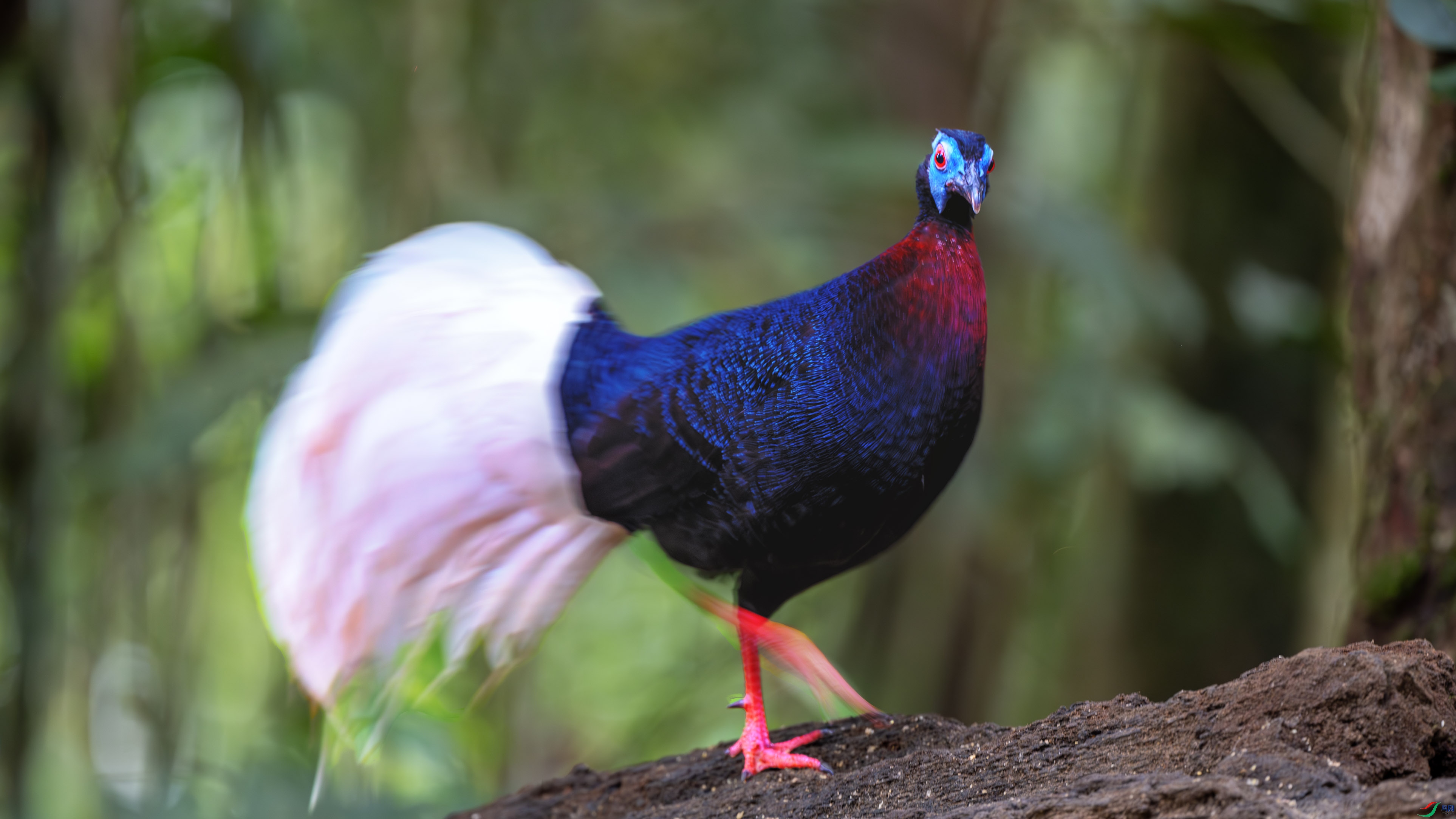 _DSC9230-����ǿ-NR-2 ����1.jpg