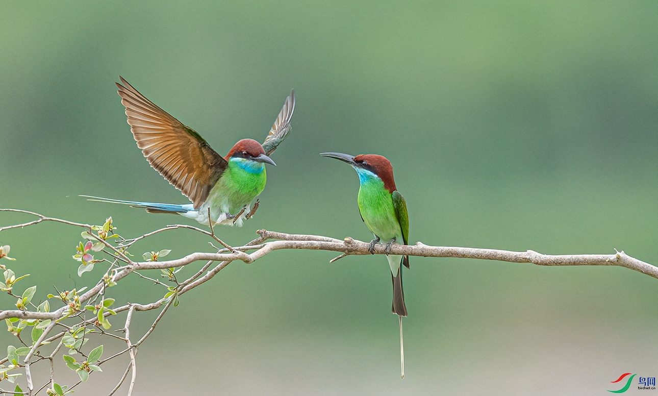 _C2A8304 ����.jpg