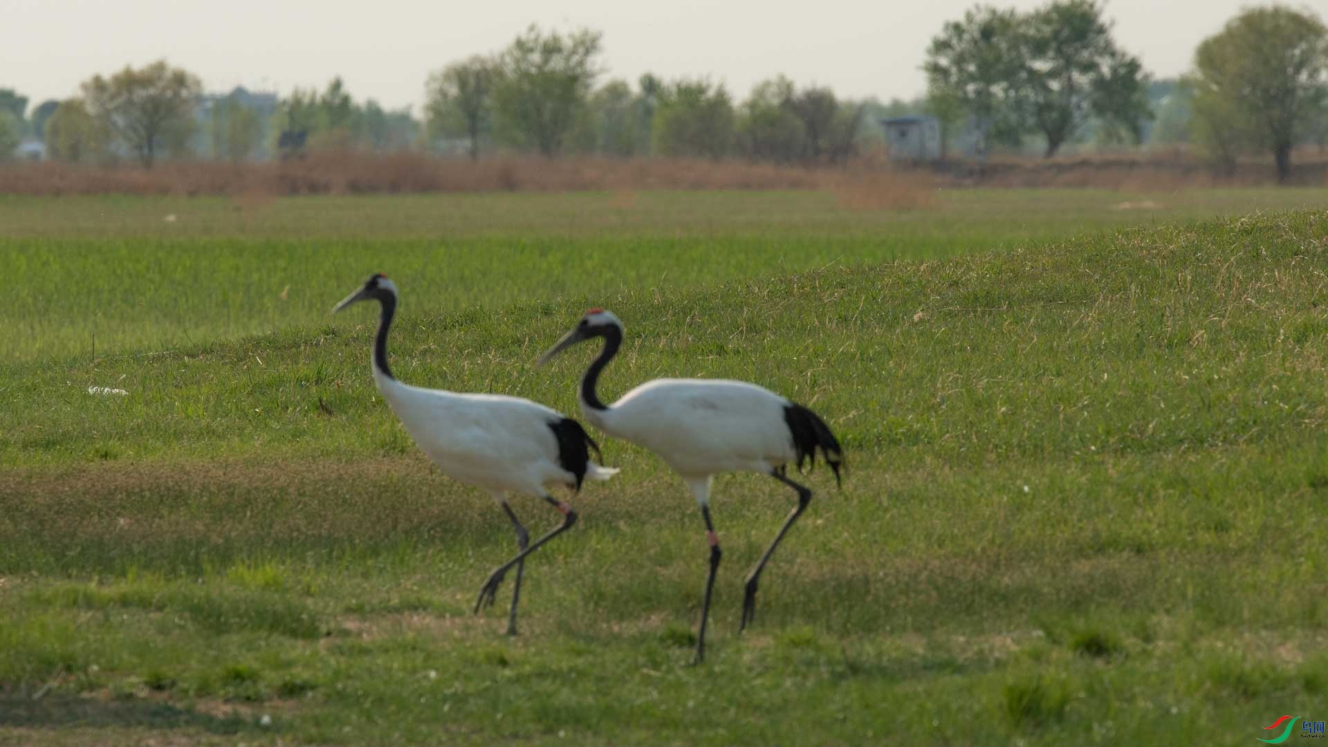 _DSC3002-1x8.jpg