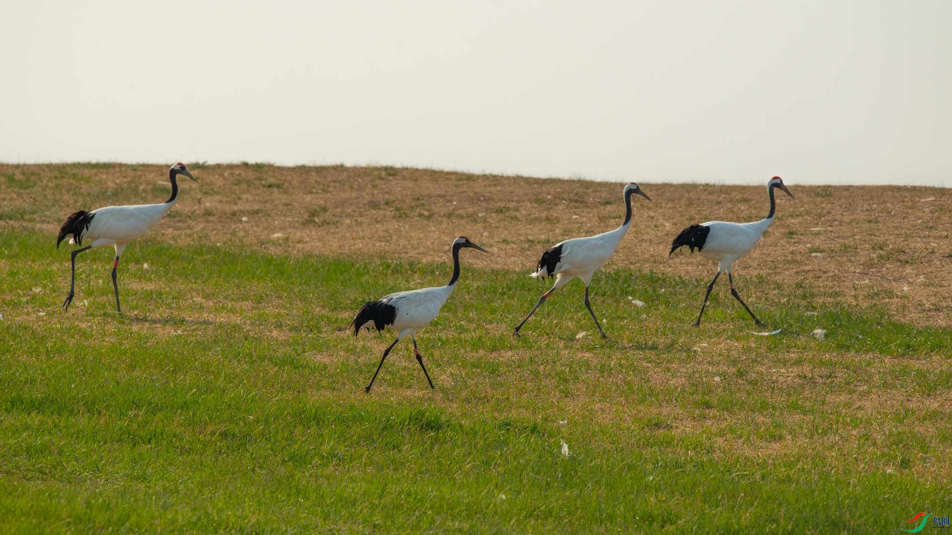 _DSC3015-1x19.jpg