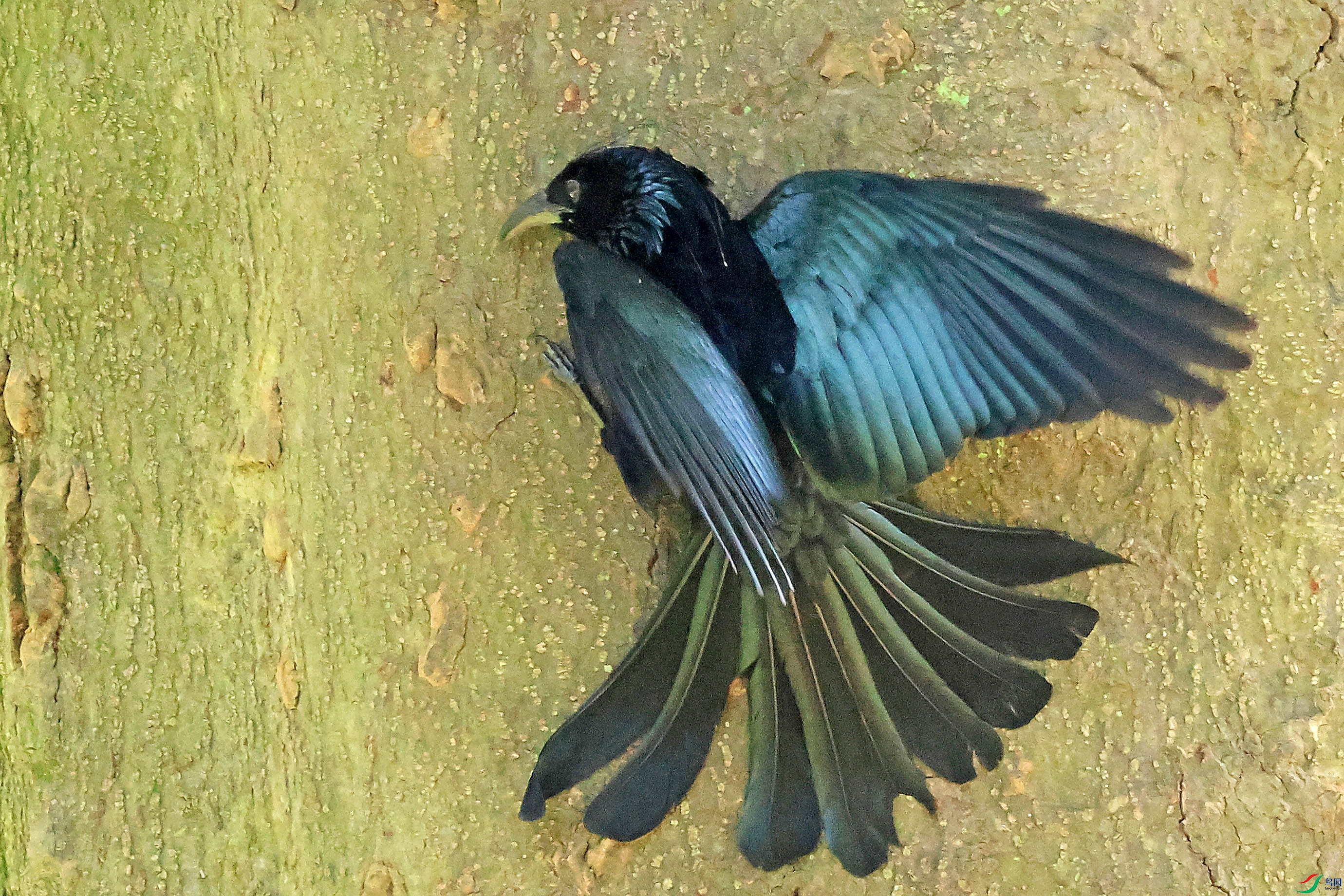 2G9A4356.JPG
