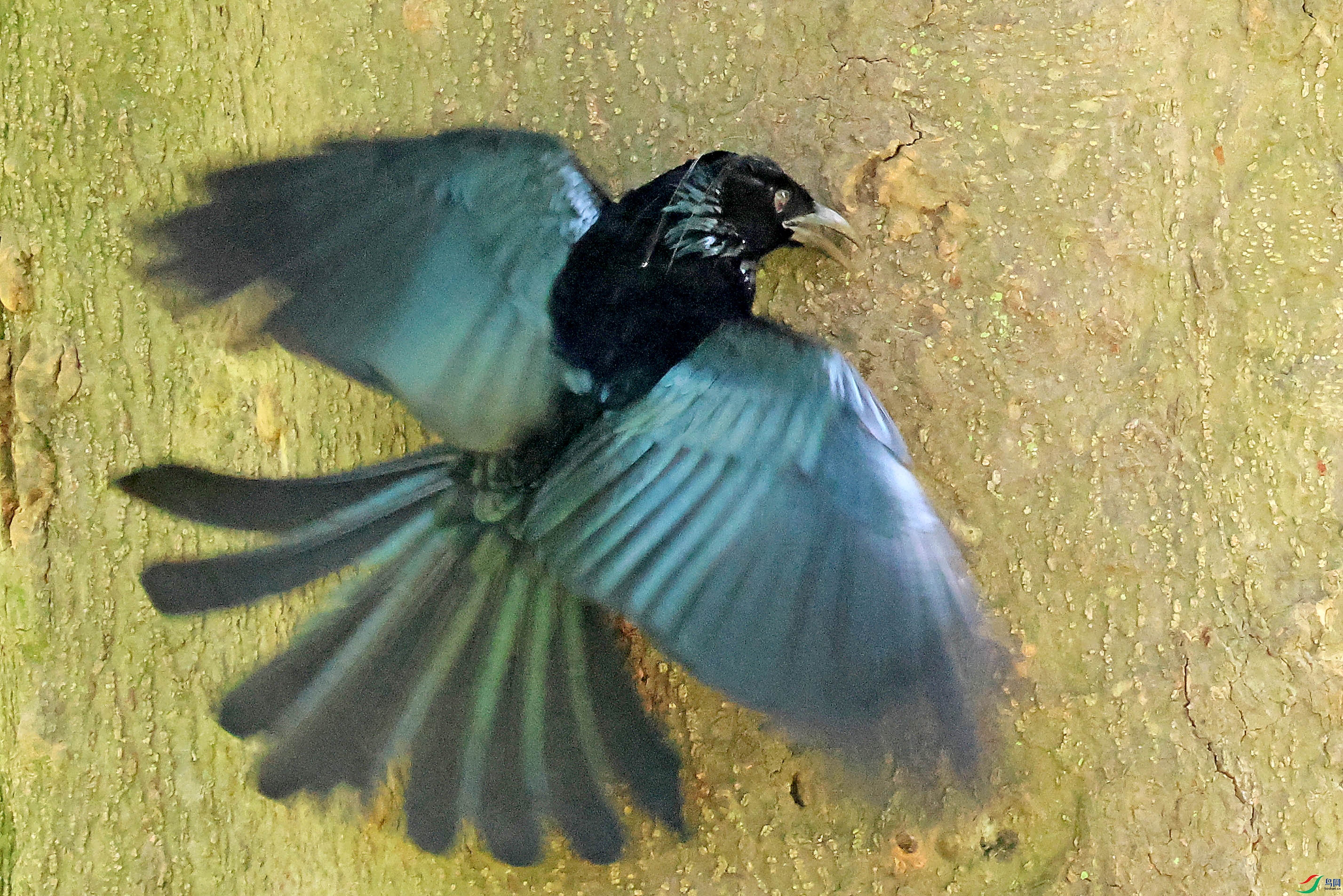 2G9A4369.JPG