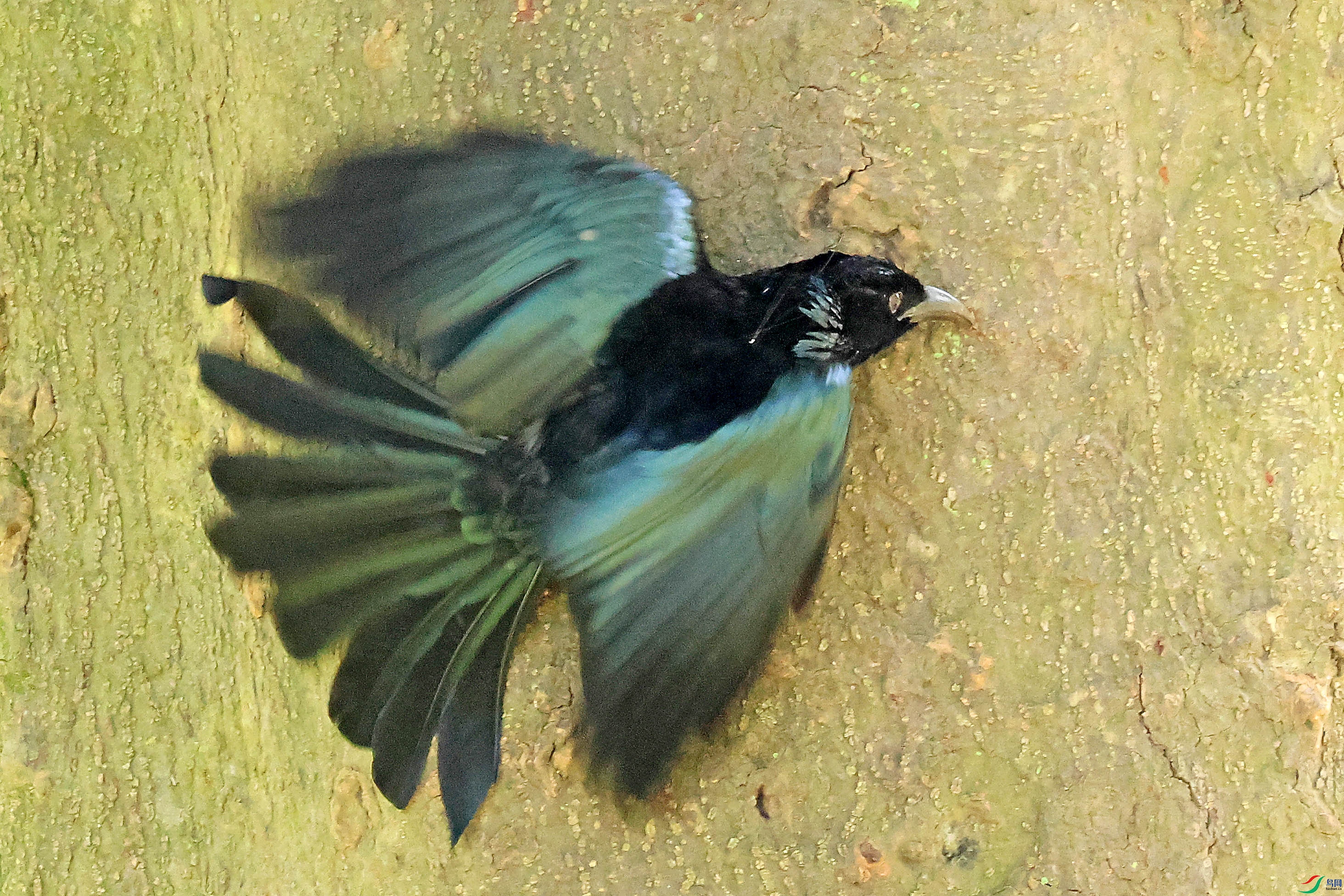 2G9A4372.JPG