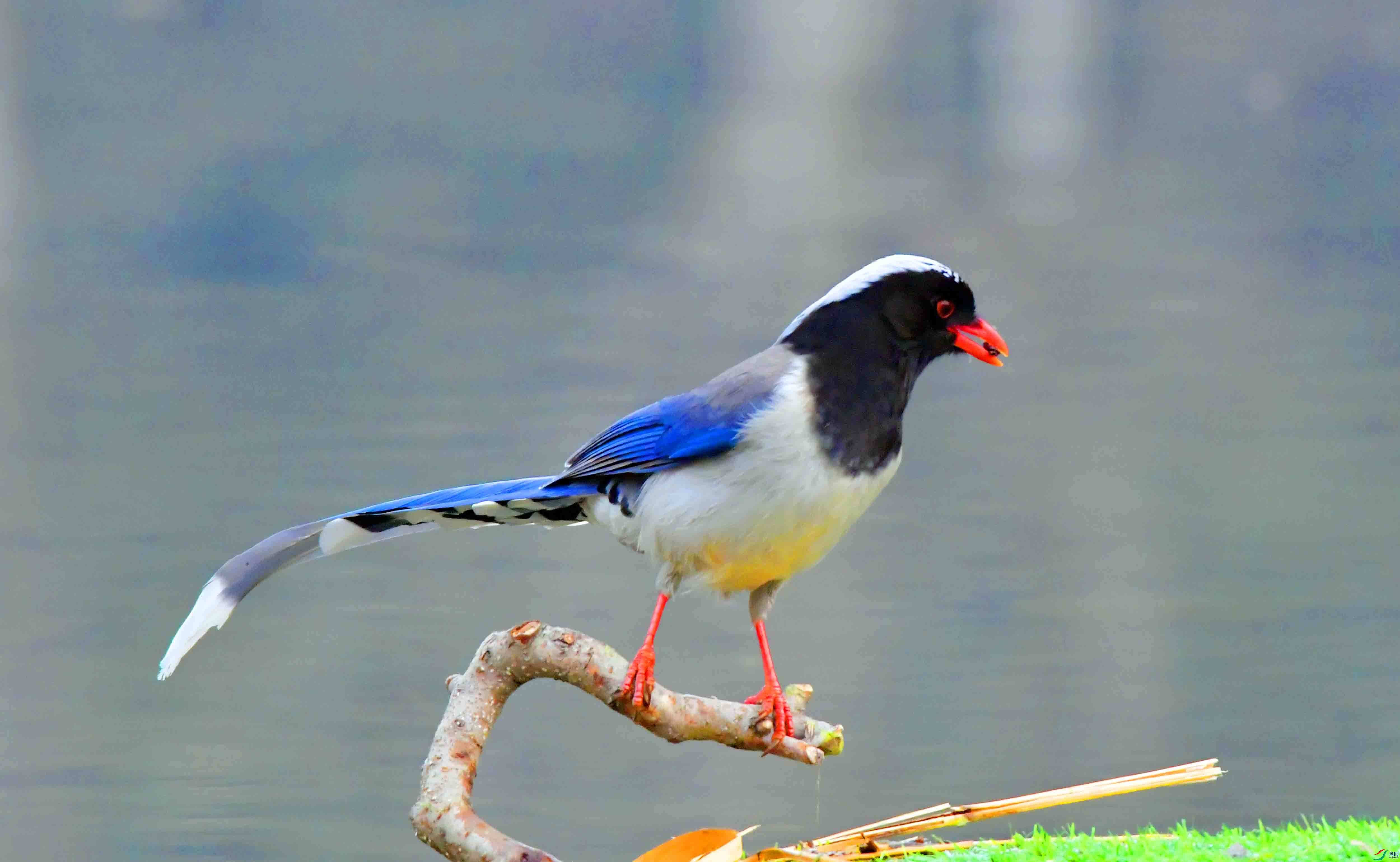 Copy2_DSC_1828.JPG